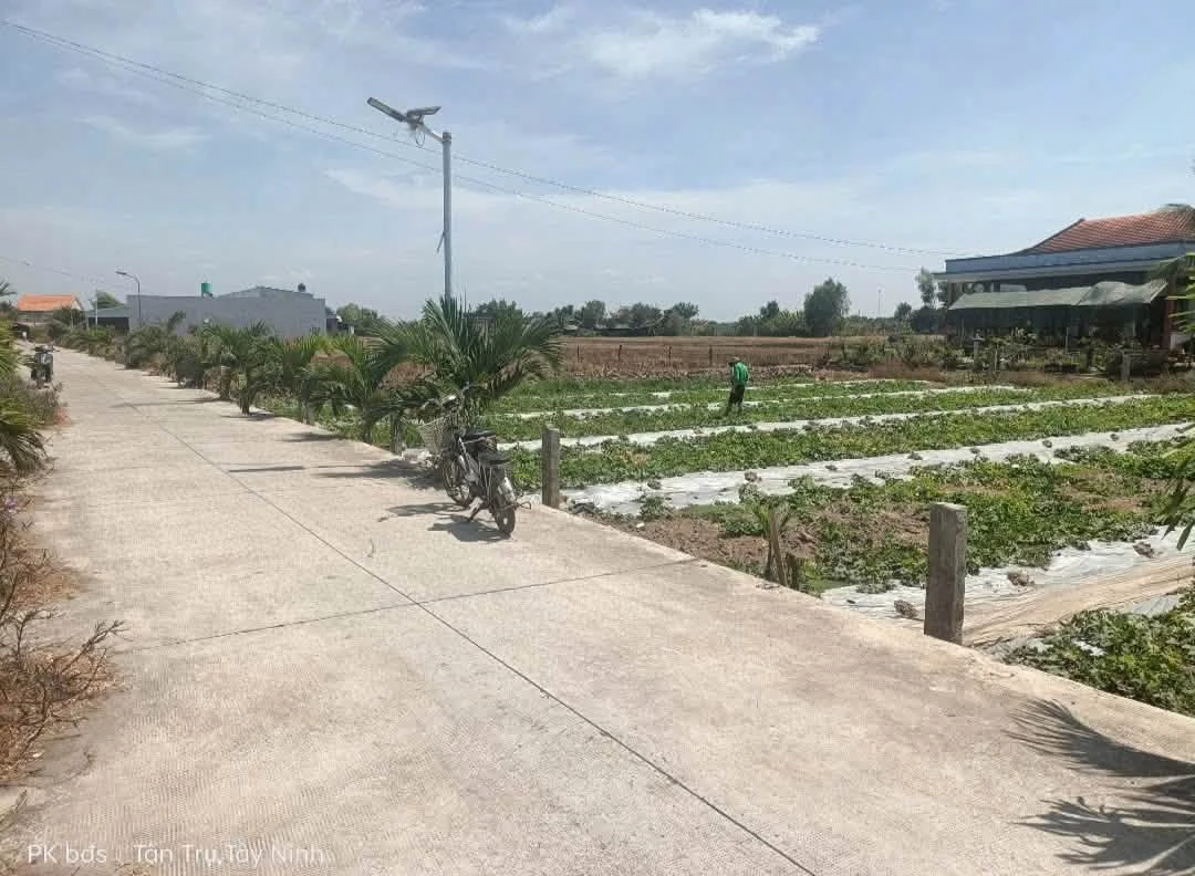 Bán đất Tân Trụ 140m² mặt tiền 589 triệu - Ảnh thu nhỏ 4