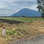 Bán 5000m2 đất đen Suối đá Dương Minh Châu Tây Ninh - Ảnh thu nhỏ 2