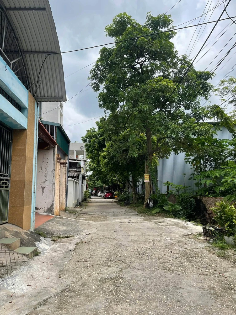 Bán lô đất Đại Phúc 100m2, giá 4 tỷ - Ảnh thu nhỏ 3
