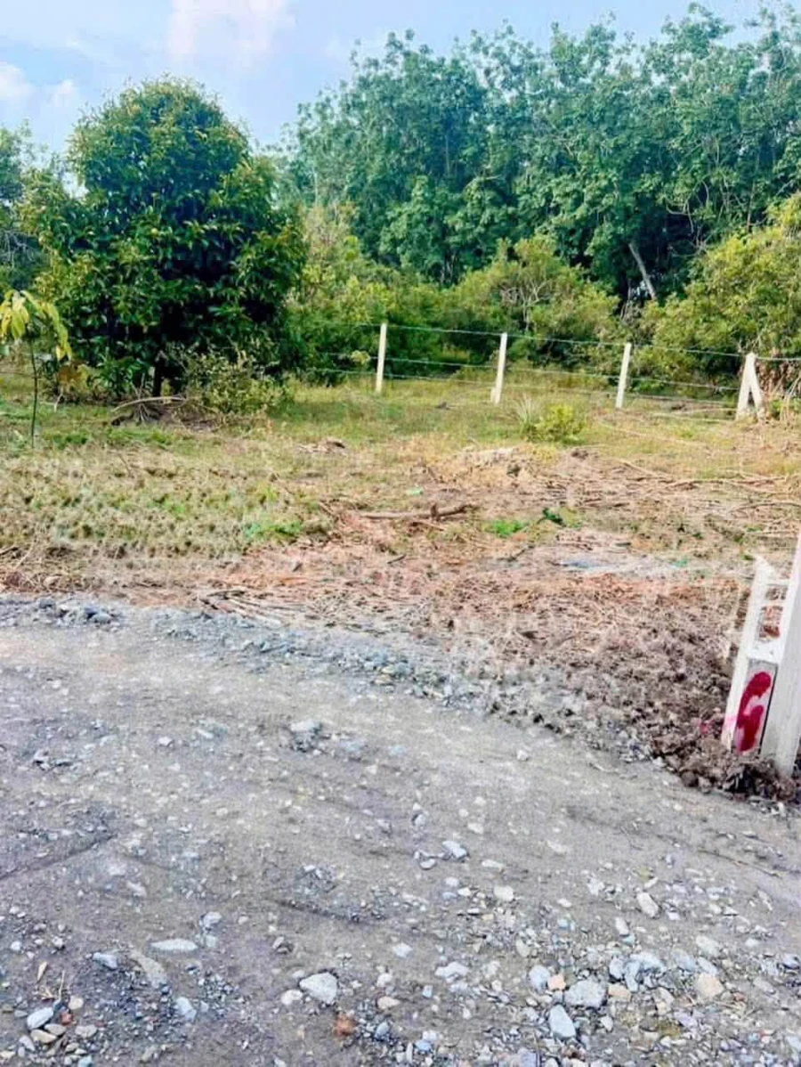 Bán đất Tây Ninh 67.5m² hẻm 88 Nguyễn Văn Linh 240 triệu - Ảnh thu nhỏ 2