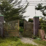 Diện tích lớn 1.4ha, có 500m2 thổ cư, đường ô tô, SHR, tại La Gi, thích hợp làm Homestay, phân lô - Ảnh thu nhỏ 10