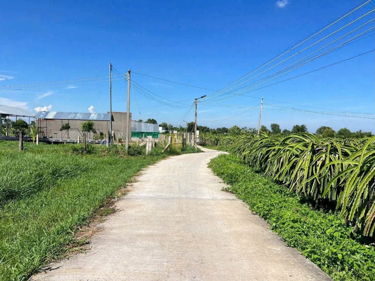 Bán đất 839m² mặt tiền Phan Thiết 479 triệu - Ảnh 1
