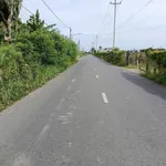 Bán lô đất CLN 1000m2 mặt tiền Nhựa Xoài, Hàm Thắng, Lâm Đồng - Ảnh thu nhỏ 1