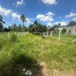 Bán đất 4x52m Trường Hòa, đường Trí Huệ, Tây Ninh - Ảnh thu nhỏ 3
