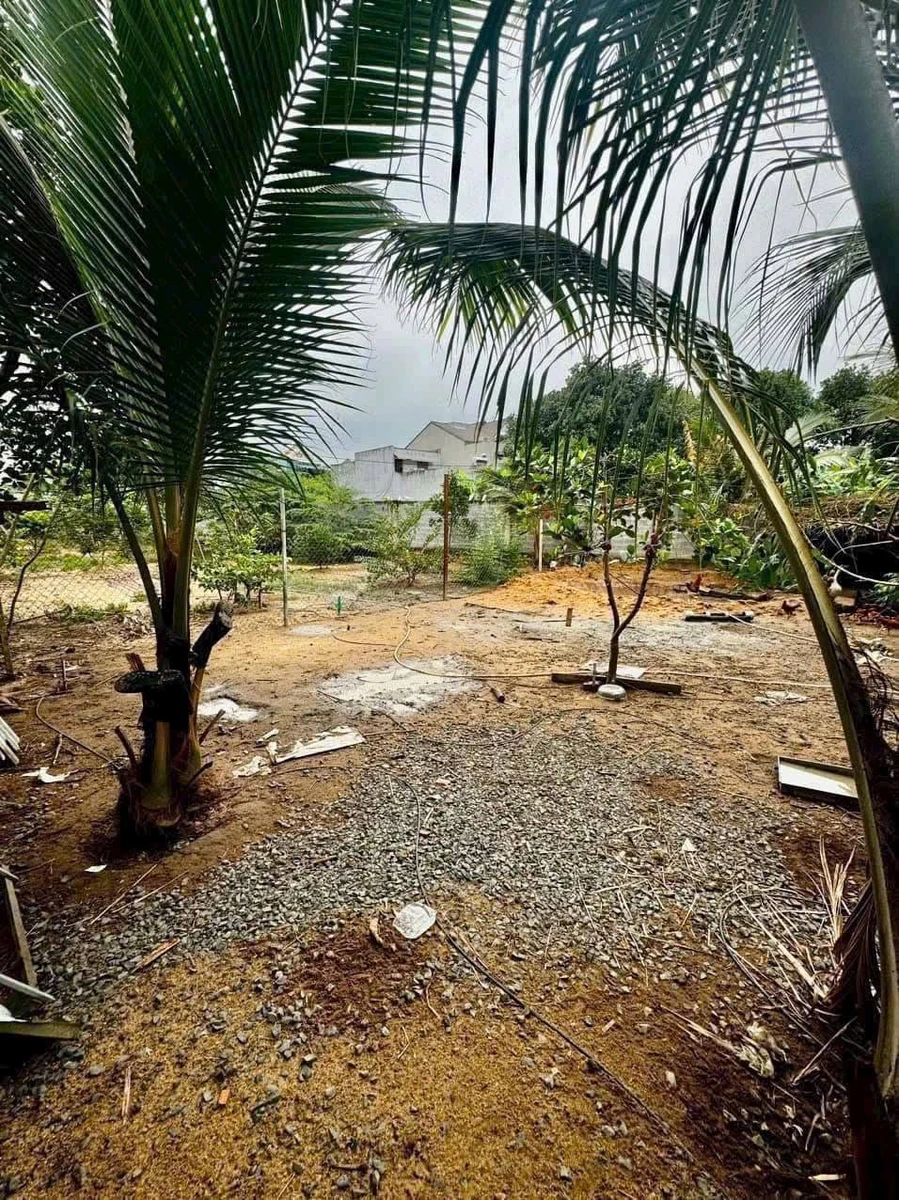 Bán lô đất biệt thự 750m² tại Trảng Dài, Đồng Nai - Ảnh thu nhỏ 3