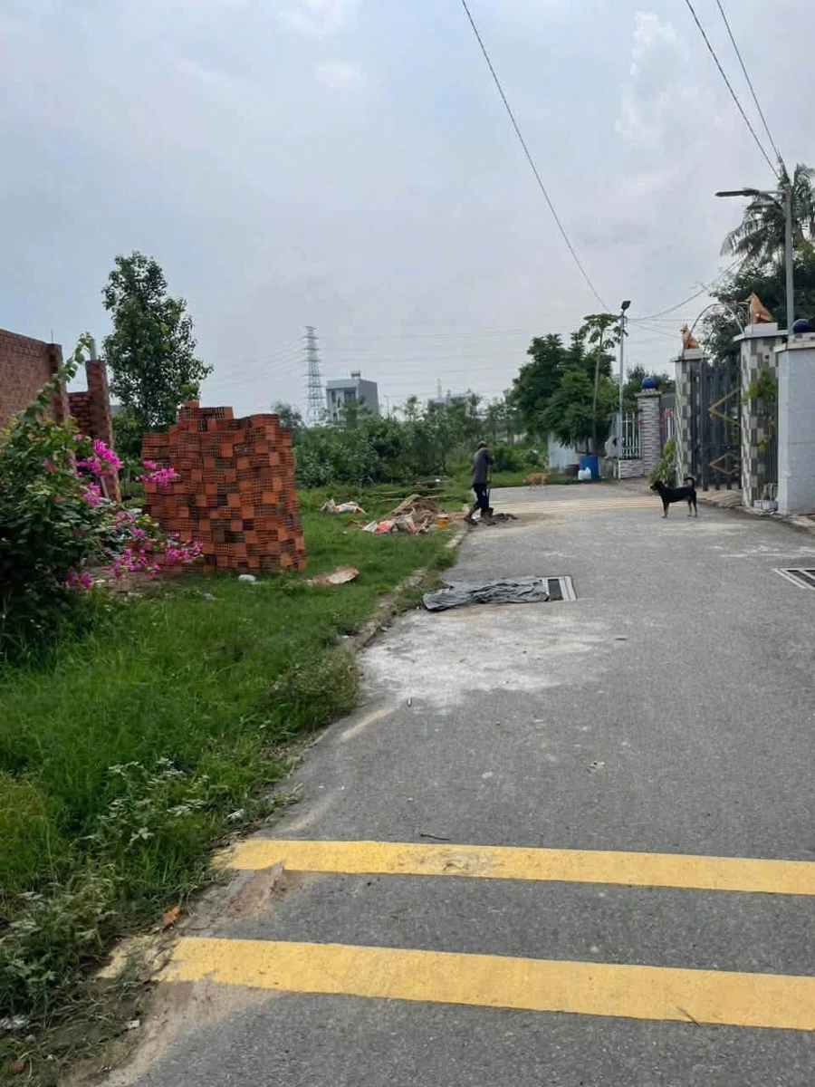 Bán đất 102,5m² mặt tiền Dĩ An, gần Chợ Tân Bình - Ảnh thu nhỏ 3