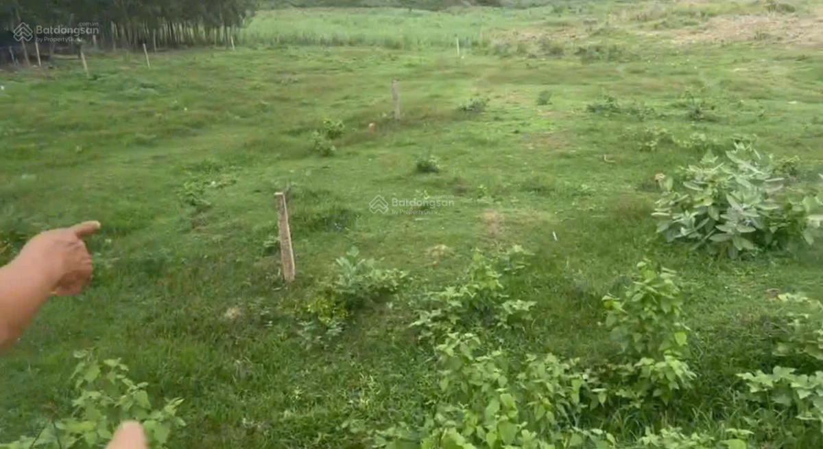 Cần ra nhanh lô đất diện tích 1.153m2 Xã Ninh Tây, Ninh Hòa, Khánh Hòa, có thổ cư - Ảnh thu nhỏ 3