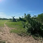Bán đất 2 hecta view núi Hàm Phú Bình Thuận 1 tỷ - Ảnh thu nhỏ 1