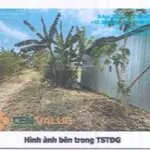 Bán 333,7m2 ODT tại phường Mỹ Hòa, thành phố Long Xuyên, tỉnh An Giang - Ảnh thu nhỏ 6