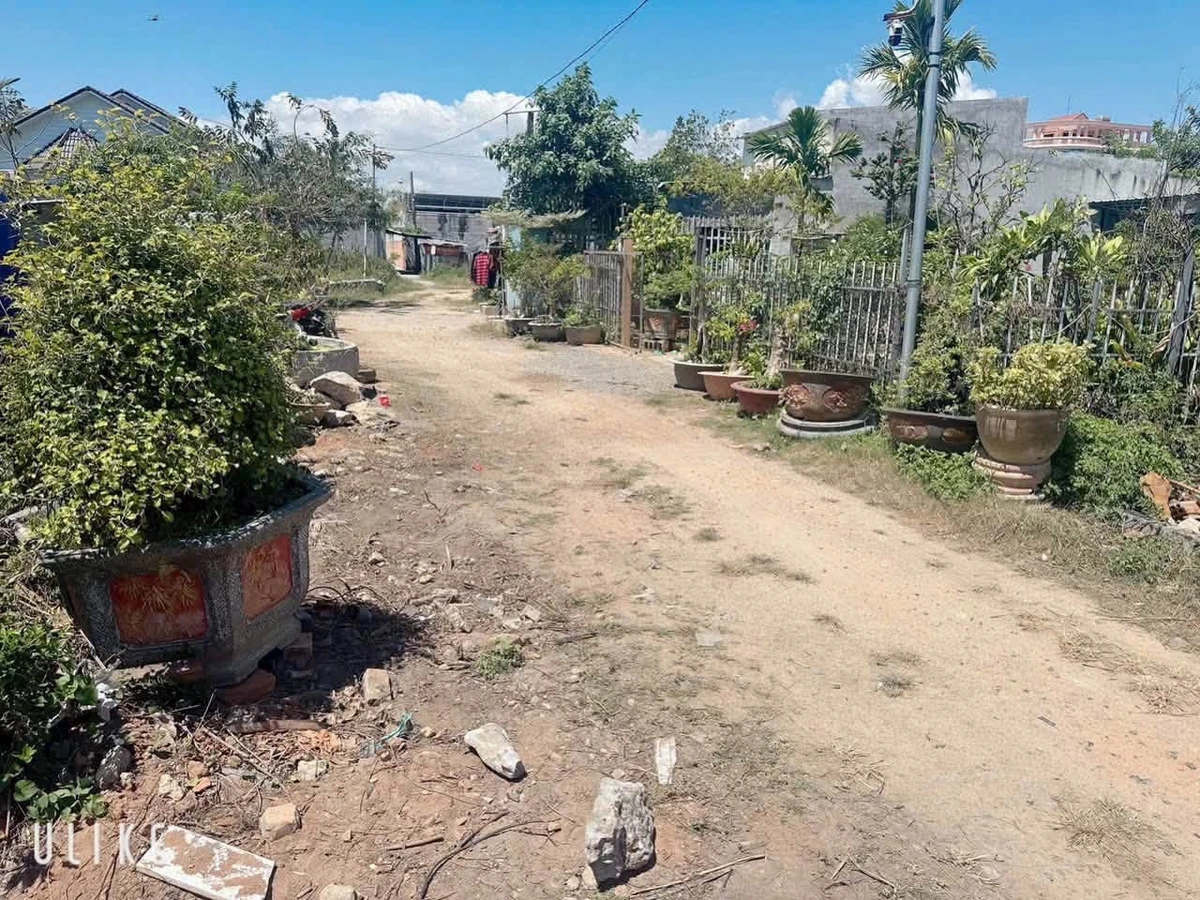 Bán 196m² đất Xuân Tài - Phong Nẫm, Lâm Đồng - Ảnh thu nhỏ 2