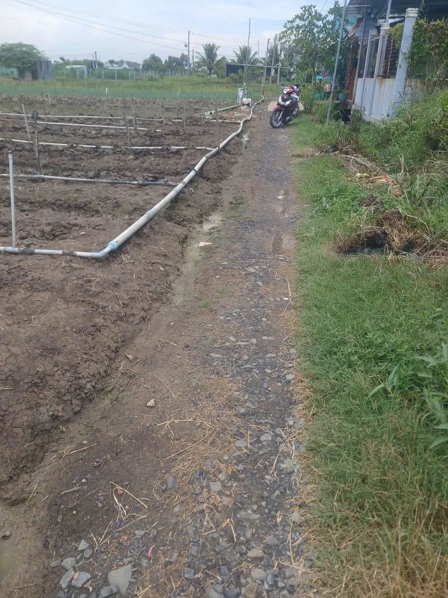Bán lô đất Tân Điền 1900 m² Tây Ninh 2,9 tỷ - Ảnh thu nhỏ 3