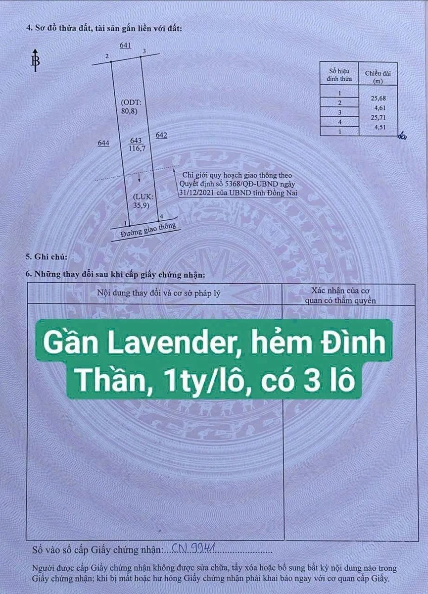 Bán đất 112.5m² ngang 4.5m tại Tân Triều, Đồng Nai - Ảnh thu nhỏ 4