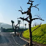 SIÊU PHẨM LẠC THỦY - GIÁP NINH BÌNH - CÁCH HÀ NỘI 65KM - Ảnh thu nhỏ 12