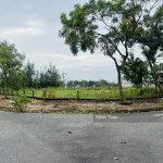 Mặt tiền hồ sinh thái. Lô đẹp, xây ở cực đẹp - Ảnh thu nhỏ 8