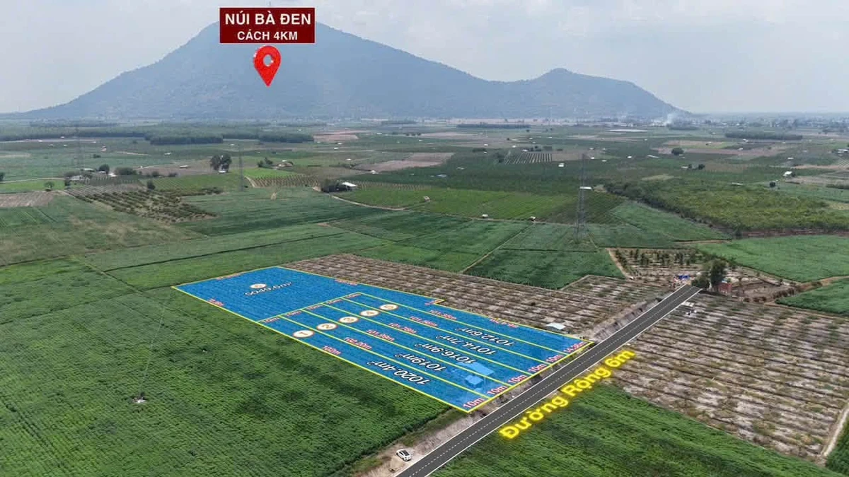 Bán đất 1 công Suối Đá Tây Ninh 275 triệu - Ảnh thu nhỏ 4
