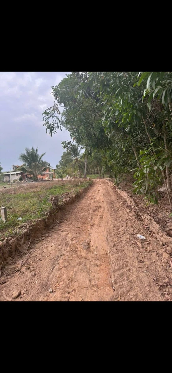Bán đất Tân Phú, đường Chà Bá 100 triệu - Ảnh thu nhỏ 2