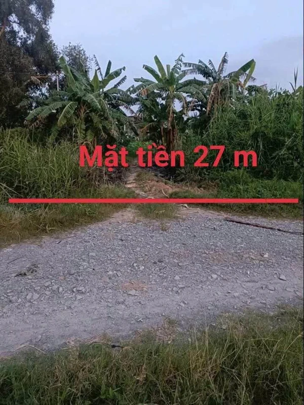 Bán đất 1.771m² (300m² thổ + 1.471m² vườn) Xã Bình Thạnh, Long An