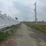 Bán đất mặt tiền đường nhựa Bạch Đằng, Tân Uyên, Bình Dương, 400m2 giá khoảng 2 tỷ - Ảnh thu nhỏ 1