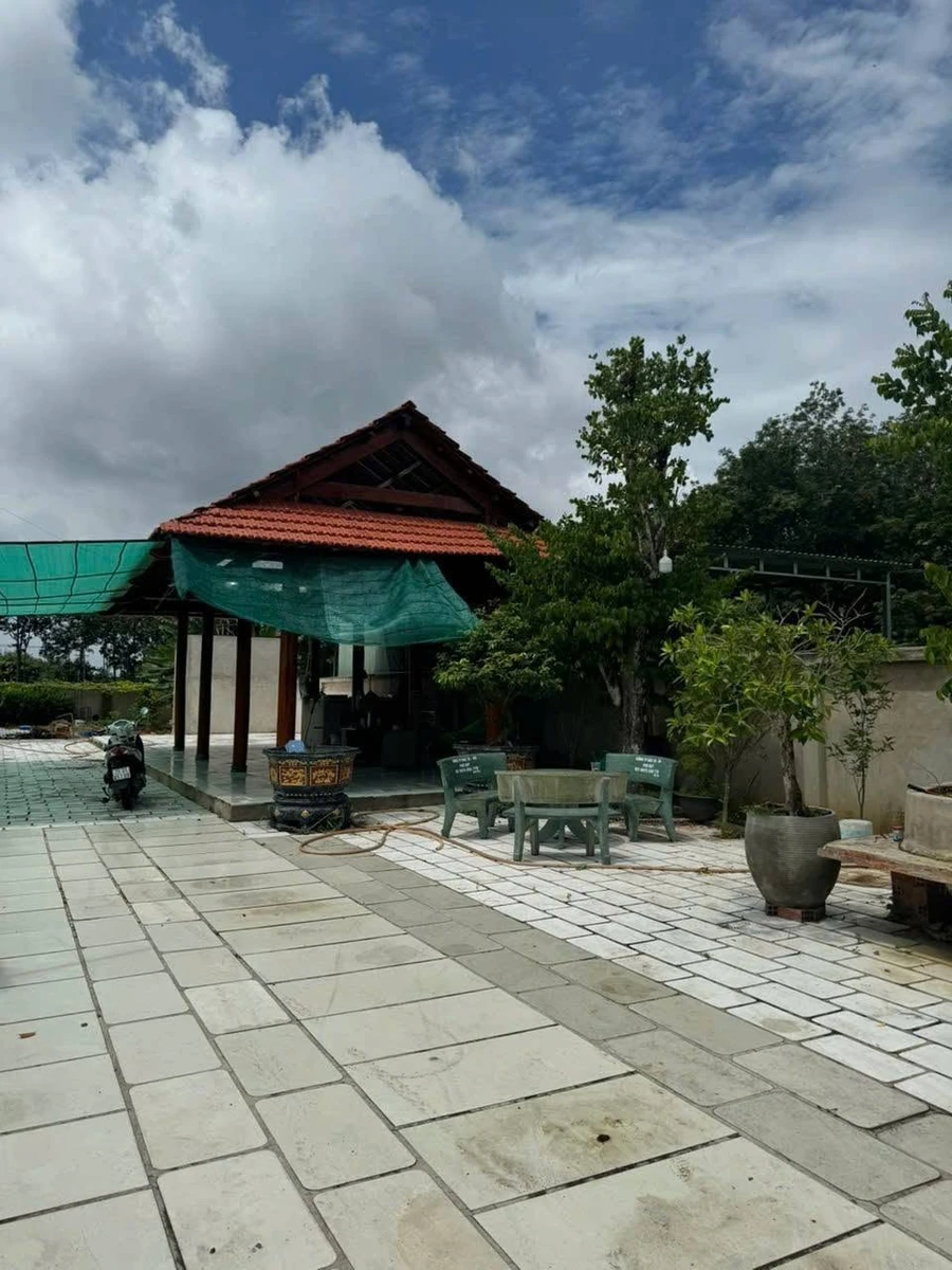 Bán nhà vườn mặt tiền Tân Hiệp 493,8m2 Tân Phú - Ảnh thu nhỏ 3