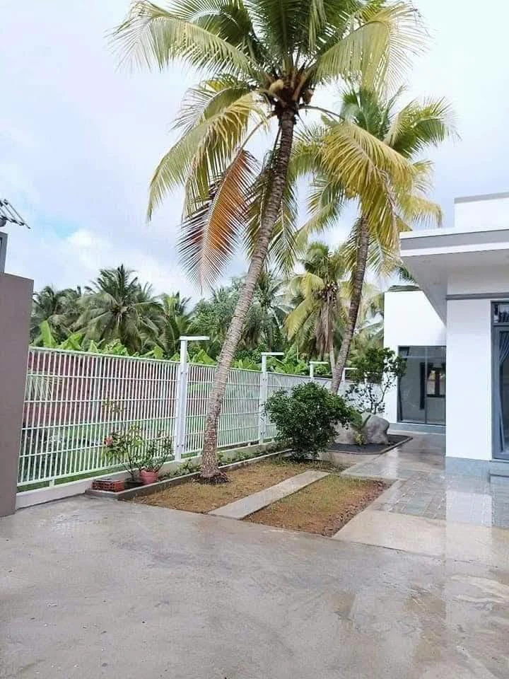 Bán nhà vườn 259m² 2PN tại Thị Trấn Châu Thành 1,6 tỷ - Ảnh thu nhỏ 2