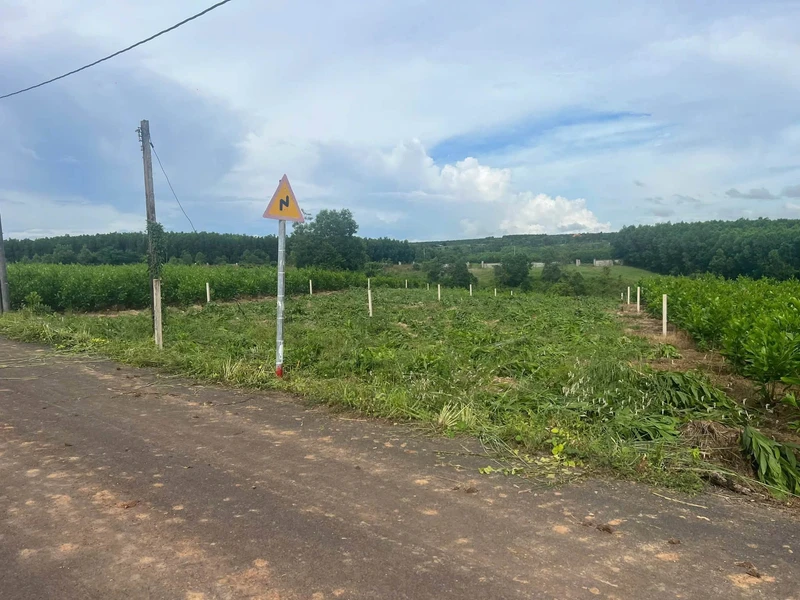 Bán đất thổ cư hơn 1.000m² mặt tiền 20m KDC Vincom Dĩ An, giá 50 tỷ 7x26m