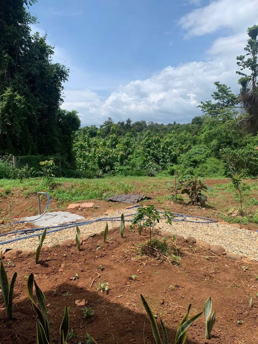 Bán nhà vườn 1609m2 Xã Ea Nuôl Đắk Lắk 1,2 tỷ - Ảnh thu nhỏ 4