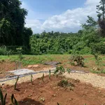 Bán nhà vườn 1609m2 Xã Ea Nuôl Đắk Lắk 1,2 tỷ - Ảnh thu nhỏ 4