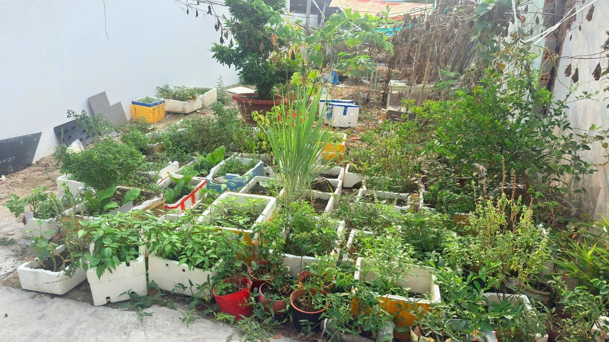 Bán đất Vĩnh Hòa Nha Trang 45m² sổ hồng, 1,82 tỷ - Ảnh thu nhỏ 4