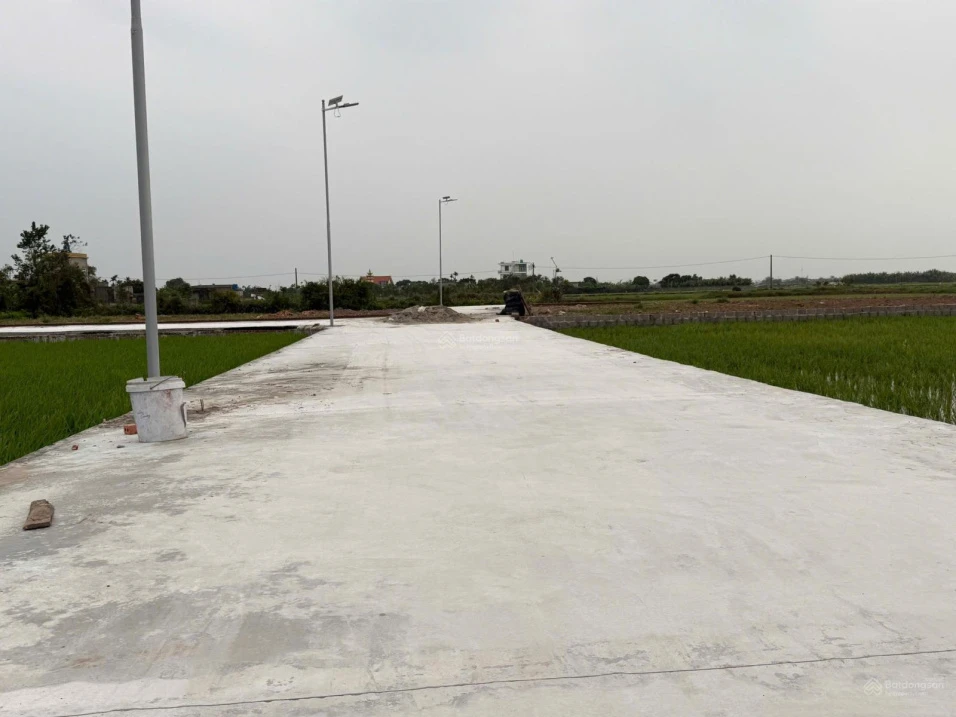 Bán đất 120m² tại Thôn Thiện Tường, Xã Nam Thịnh, Huyện Tiền Hải, giá nhỉnh 5 trăm triệu - Ảnh thu nhỏ 2