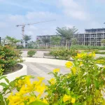 Chính chủ bán gấp lô đất nền Vị Thanh 95m² full thổ, giá công khai 1,2 tỷ có đàm phán - Ảnh thu nhỏ 9