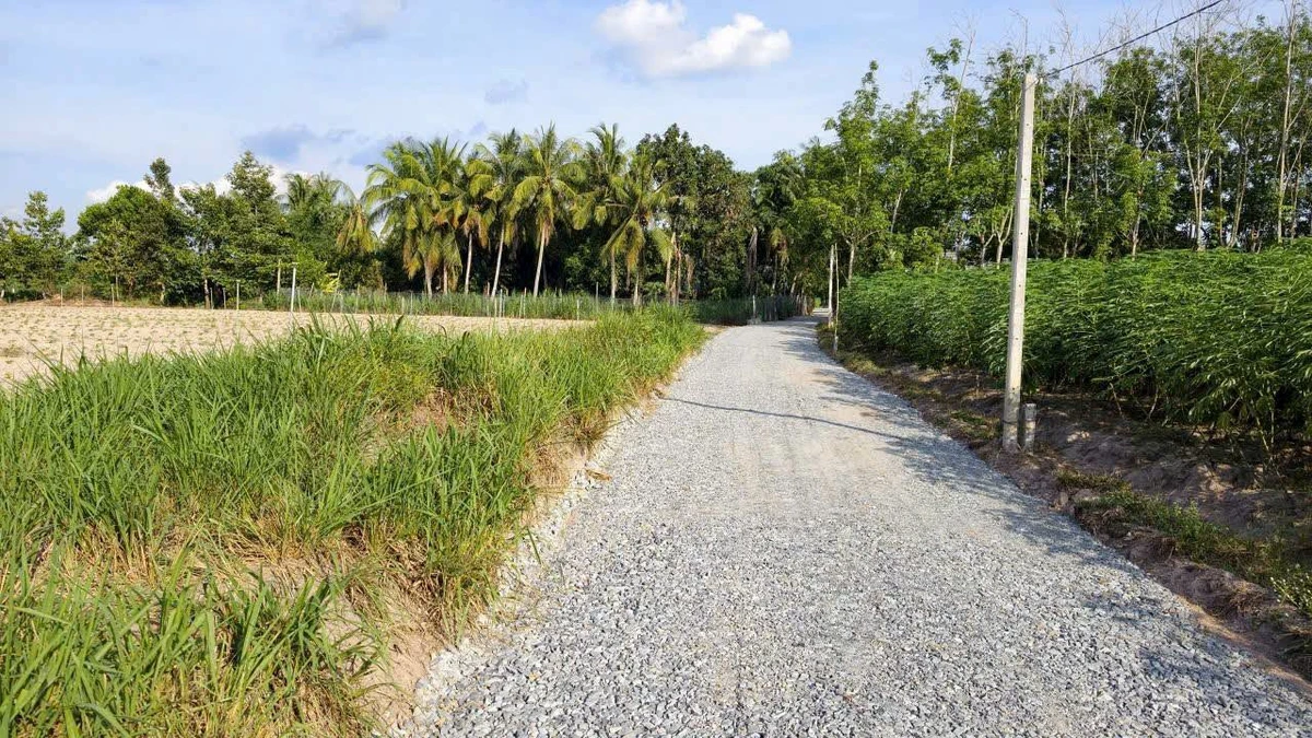 Bán đất nền 150m² An Cơ, Châu Thành, Tây Ninh, giá 119 triệu - Ảnh 1