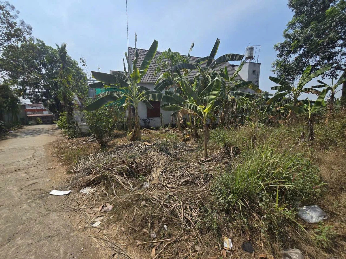 Bán lô đất 976m² sát Sơn Tiên, An Hoà, Cần Giờ - Ảnh thu nhỏ 5