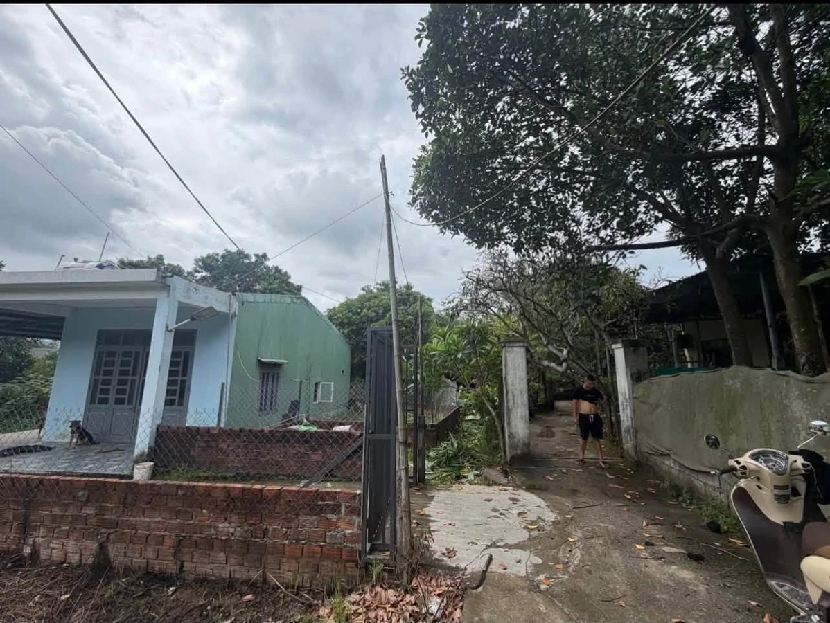 Bán lô đất 99m2 Đại Lã Đà Nẵng 250 triệu - Ảnh thu nhỏ 2