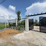 Bán nhà vườn 1100 m² Bến Lức, Long An 2.5 tỷ - Ảnh thu nhỏ 3
