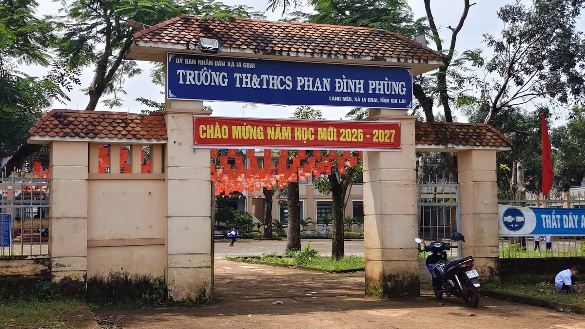 Bán đất 300m² full sổ hồng gần Pleiku, Gia Lai 299 triệu - Ảnh thu nhỏ 3