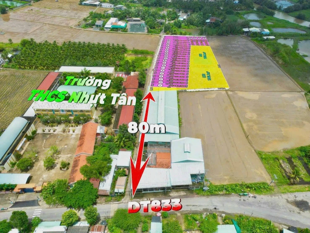 Bán đất nền 5x31m (155m²) Xã Đức Tân Tây Ninh gần trường học - Ảnh thu nhỏ 4