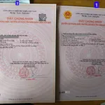 Bán đất 93.5m² KDC Phúc Đạt, Tân Đông Hiệp, Dĩ An - Ảnh thu nhỏ 4