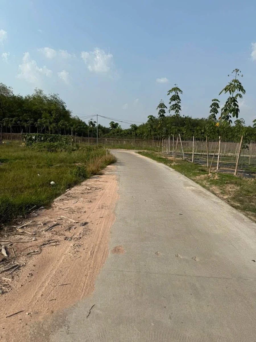 Bán đất 2500m2 tại Chánh Phú Hoà Bến Cát Bình Dương - Ảnh thu nhỏ 2