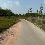 Bán đất 2500m2 tại Chánh Phú Hoà Bến Cát Bình Dương - Ảnh thu nhỏ 2