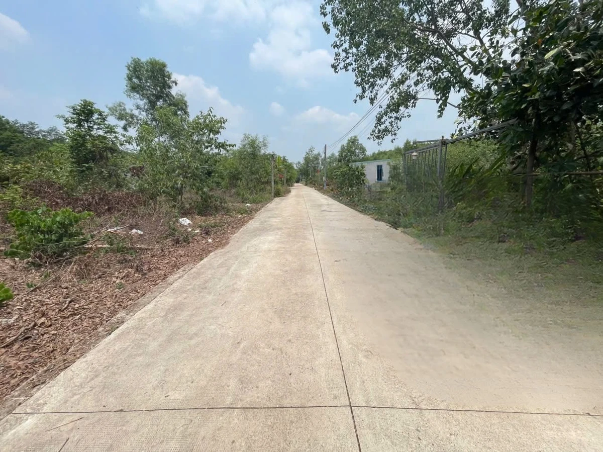 Bán đất nền 359.9m² Tân Thành, Bắc Tân Uyên, Bình Dương 2.5 tỷ - Ảnh thu nhỏ 2