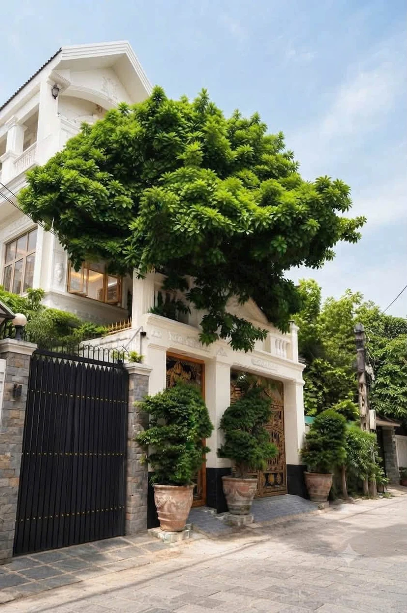 Bán biệt thự 4 tầng có hầm, khoảng 170m², hẻm 6m, Tân Sơn Nhì, Tân Phú - Ảnh thu nhỏ 2