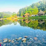 Bán đất Tánh Linh Bình Thuận 6820m² sổ đỏ 1 tỷ 400 - Ảnh thu nhỏ 5