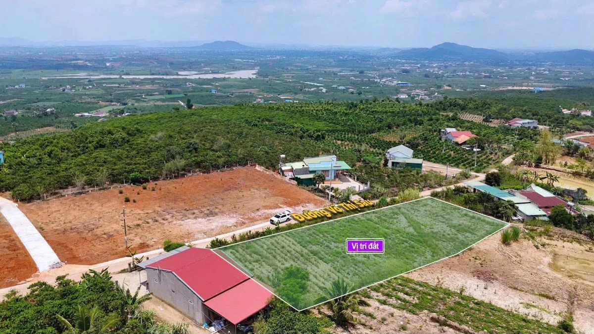 Bán đất mặt tiền Võ Thị Sáu Lâm Đồng 138m² 335 triệu - Ảnh thu nhỏ 2