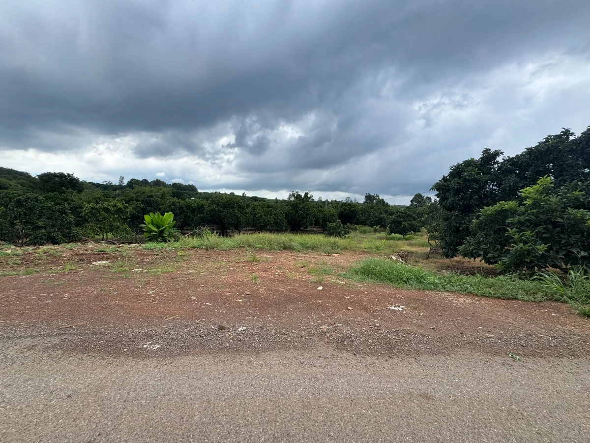 Bán đất vườn 7500m2 view suối ở Bình Lộc, Đồng Nai - Ảnh thu nhỏ 3