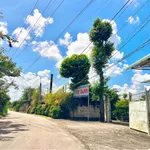 Bán vườn trái cây 500m² giá 699 triệu tại Phường Bảo Vinh, Đồng Nai - Ảnh thu nhỏ 2