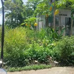 Bán đất hẻm Tạ Quang Bửu 5x20m Quận 12 - Ảnh thu nhỏ 2