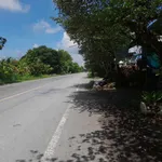 Bán đất 1.050,7m2 ngang 20m đất cây lâu năm, có sẵn nhà, xã Hữu Định, Châu Thành - Ảnh thu nhỏ 1