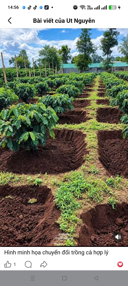 Bán đất 3 hecta sổ hồng, 60m mặt tiền, Đắk Nông - Ảnh thu nhỏ 3