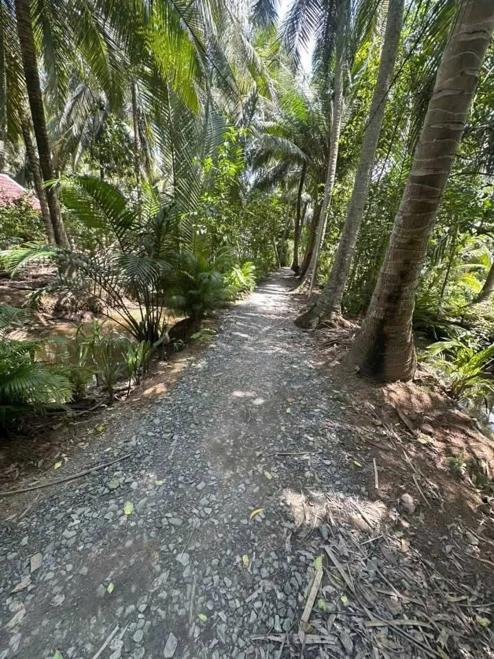 Bán đất Thành An 1000m² giá 450 triệu - Ảnh thu nhỏ 2