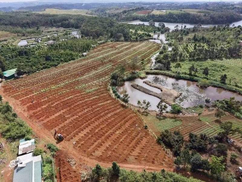 Bán rẫy 1,9 ha Lâm Đồng giá 4,4 tỷ